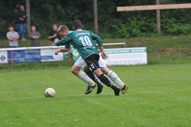 狼队阵容完 狼队阵容完