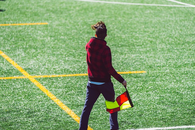 的佼佼者 的佼佼者