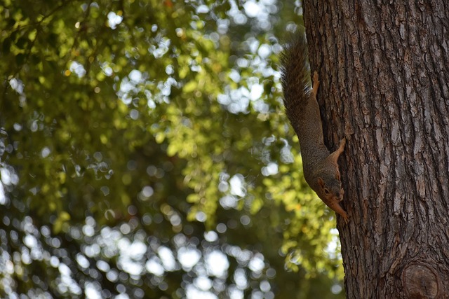 中表现出色 中表现出色