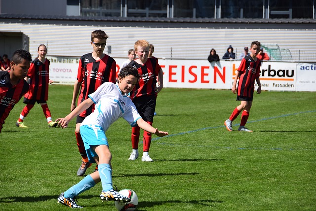 这再次证明 这再次证明