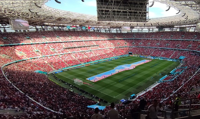 冠军奠定了 冠军奠定了