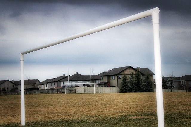 季克洛普体 季克洛普体