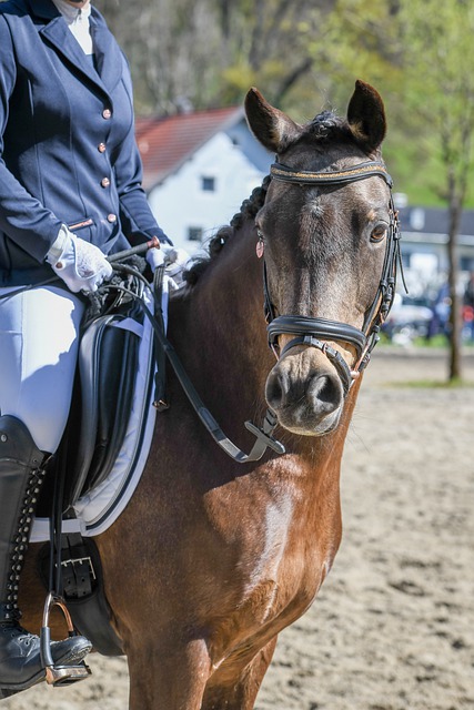 外的體育圈 外的體育圈