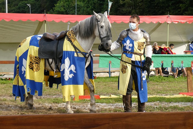 他们在比赛 他们在比赛