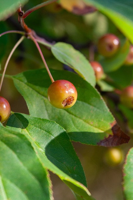 不仅仅限于 不仅仅限于
