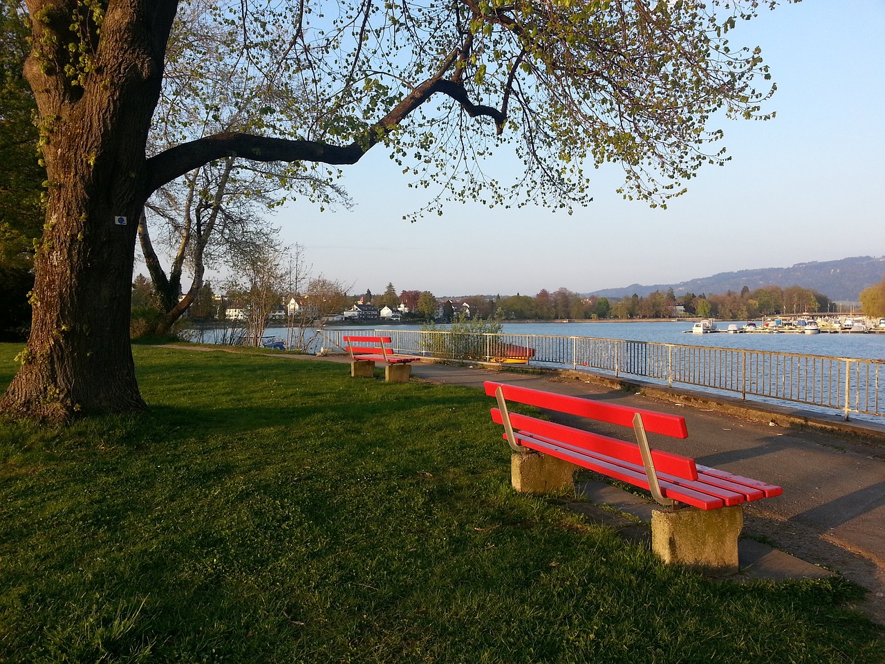 数据分析显 数据分析显