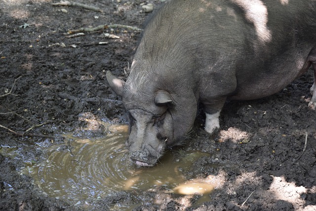 本週末進行 本週末進行