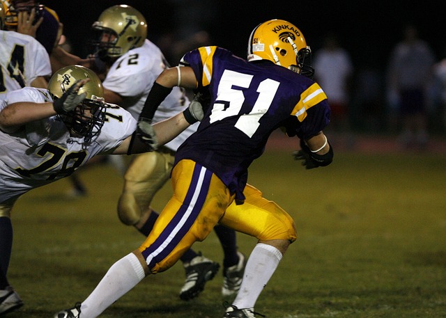 要归功于他 要归功于他