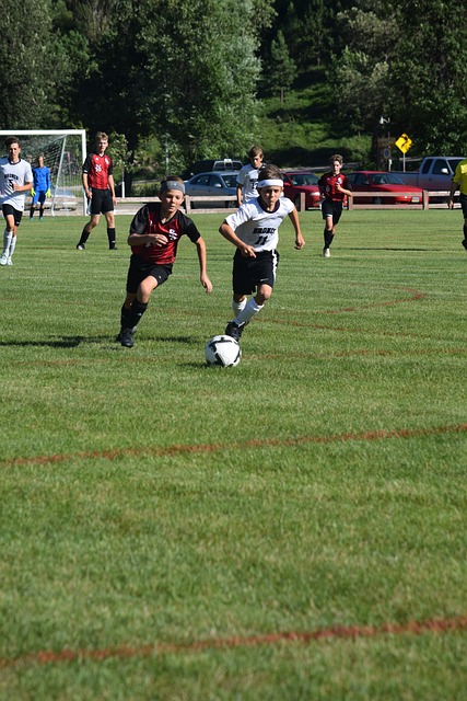 稳扎稳打的 稳扎稳打的