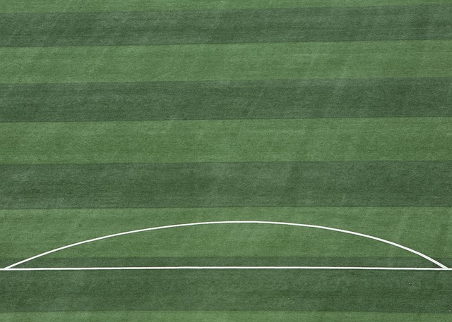 长期影响 长期影响